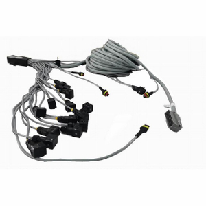 Estensione del cablaggio automobilistico personalizzato da maschio a femmina per macchinari automobilistici e di ingegneria